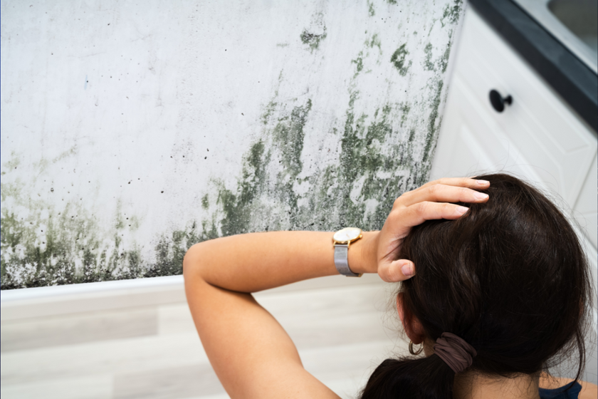 Mold Awareness Month: What You NEED To Know (No, Really.)